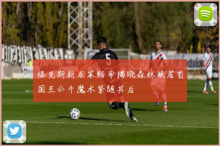 福克斯新东家赔率揭晓森林狼居首国王公牛魔术紧随其后