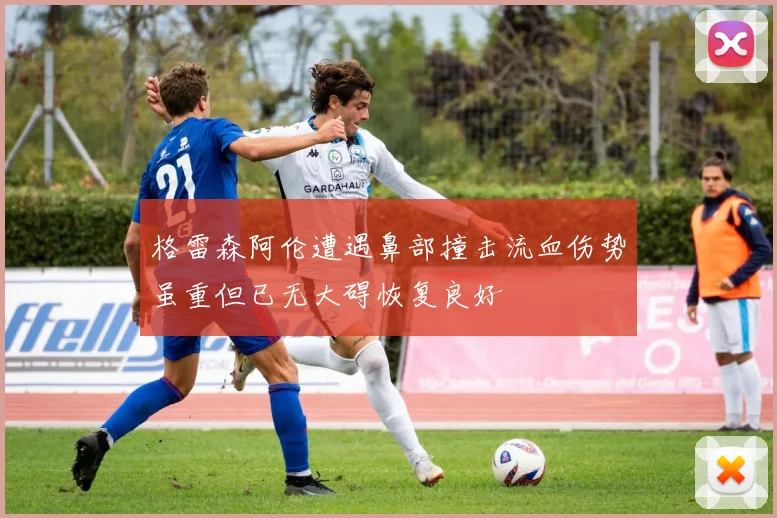 格雷森阿伦遭遇鼻部撞击流血伤势虽重但已无大碍恢复良好