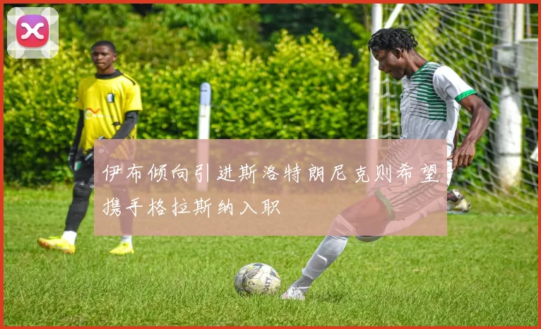 伊布倾向引进斯洛特朗尼克则希望携手格拉斯纳入职