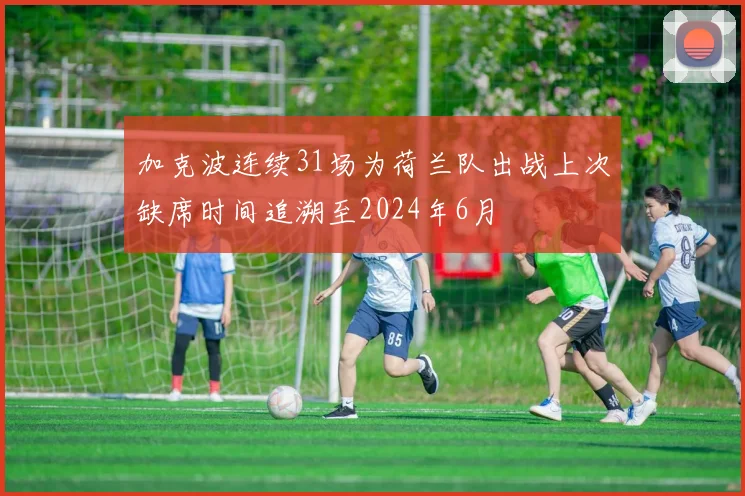 加克波连续31场为荷兰队出战上次缺席时间追溯至2024年6月